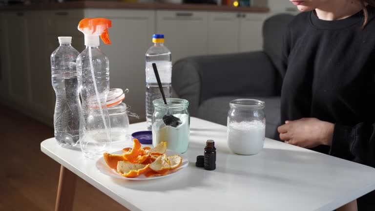 Best Natural Ingredients for DIY Eco-Friendly Cleaning
