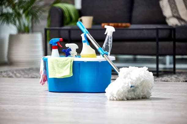 Classic Cleaning by Moms